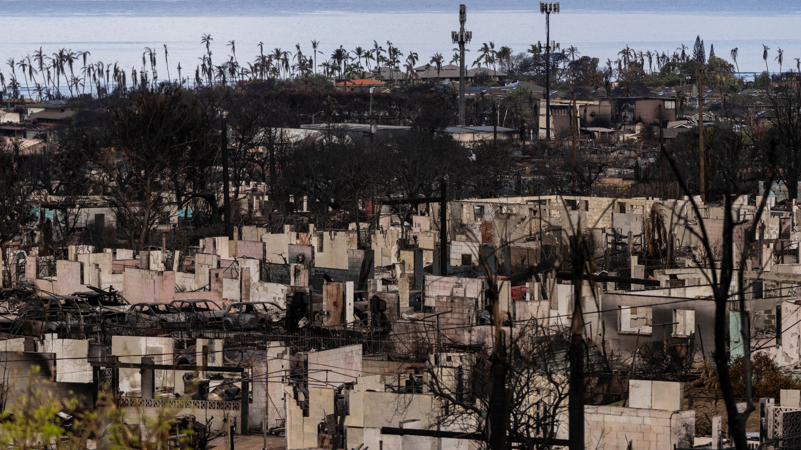 FILE - A general view shows the aftermath of a wildfire in Lahaina, Hawaii, Monday, Aug. 21, 2023. The wildfires devastated parts of the Hawaiian island of Maui earlier this month. Maui County is suing major cellular carriers for failing to properly inform police of widespread service outages during the height of last summer's deadly wildfire. (AP Photo/Jae C. Hong, File)