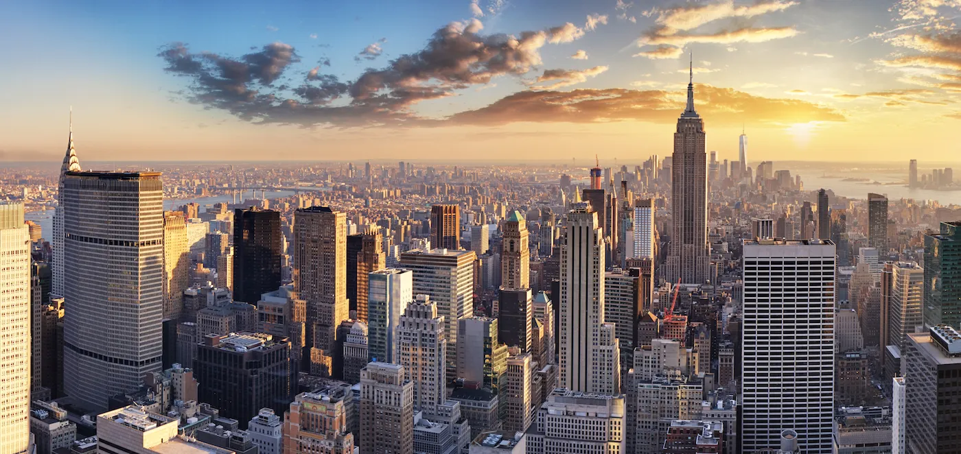 a view of a large city with tall buildings